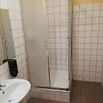 Schronisko Na Wyspie * Wrocław